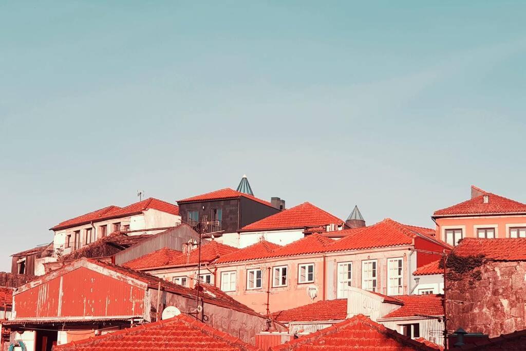 Historical Porto Apartment 외부 사진